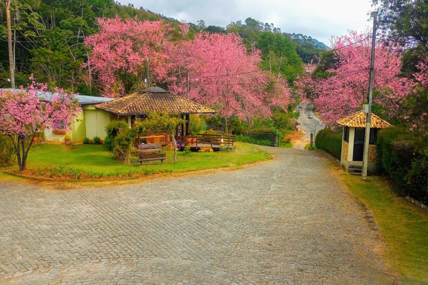 Design sem nome (2).jpg